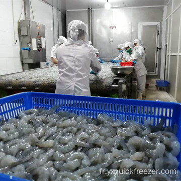 Congélateur de souffle à tunnel pour iQF fruits de mer